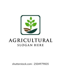 clean and simple agricultural design concept
