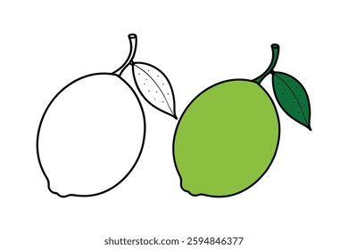 A clean and simple illustration of two limes with leaves, designed in a minimalist and artistic style.