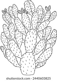 Clean, simple line drawing of Cactus.