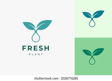 Clean and simple plant oil logo template for health care or beauty serum