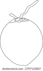 Clean and simple tender coconut outline vector illustration isolated on white background. Hand-drawn tropical coconut line art suitable for logos, icons, food packaging, beverage branding, organic product designs, coloring books, educational materials, stickers, and graphic design projects. Editable vector outline with minimal and professional appearance.