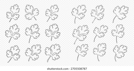 Una Ilustración vectorial limpia y simple con múltiples dibujos de contorno negro de hojas frescas de cilantro o cilantro, dispuestas cuidadosamente sobre un fondo a cuadros transparente