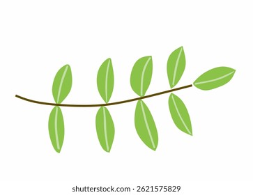 Clean and simple vector illustration of a plant stem with fresh green leaves arranged alternately along its brown branch