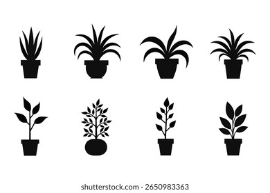 Clean and Simple Vector Illustrations of Potted Houseplants, Decorative Silhouettes of Houseplants with Modern Pot Shapes