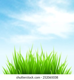 Clean spring amazing scenery. Vector illustration
