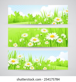 Clean spring amazing scenery. Vector illustration