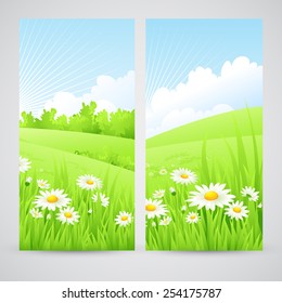 Clean spring amazing scenery. Vector illustration