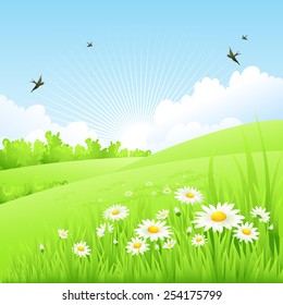 Clean spring amazing scenery. Vector illustration