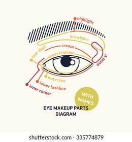 Clean stylish linear vector eye parts diagram for makeup with names. Ideal for fashion, beauty, makeup web and graphic design, tutorials and publications 