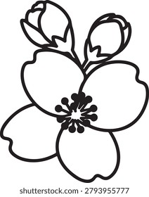 A clean, stylized vector drawing of a hibiscus flower with detailed petals and leaves, perfect for botanical or decorative designs.
