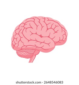 A clean and stylized vector illustration of a human anatomical brain, symbolizing thought, intelligence, and cognitive functions. Perfect for medical content, psychology education.