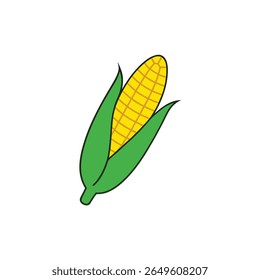 Clean sweet corn cob with husk healthy yellow veggie vector Vector illustration