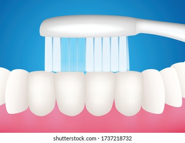 Clean teeth by a toothbrush.Graphic vector