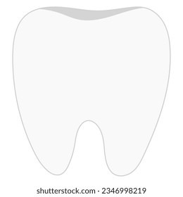 Clean tooth isolated on white background.