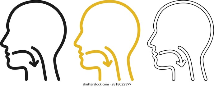 Clean vector collection of head profile icons illustrating the swallowing process and throat anatomy in outline and colored styles. Ideal for medical education, ENT clinics, speech therapy, dysphagia awareness, healthcare presentations, and anatomy-related design projects.