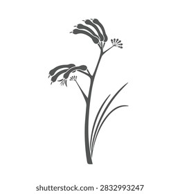A clean vector graphic featuring the unique floral shape of an Australian kangaroo paw plant isolated on a white background