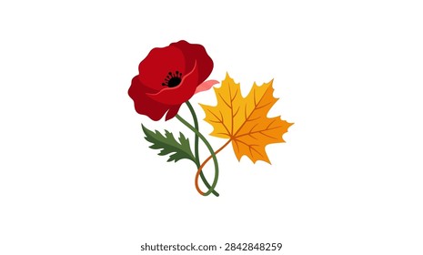 A clean vector graphic featuring a vibrant red poppy in full bloom alongside a single yellow and orange maple leaf. The two stems are crossed at the bottom. Isolated on white background.