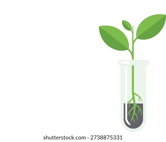 A clean vector graphic showing a small green plant with roots growing in a test tube containing dark substrate, symbolizing life science.