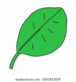 A clean vector of a green leaf, ideal for botanical branding and natural themed designs.