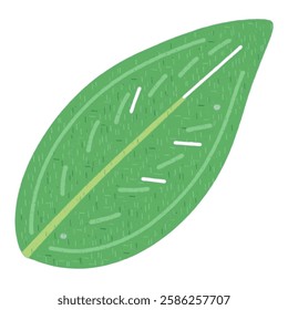 A clean vector of a green leaf, ideal for botanical branding and natural themed designs.