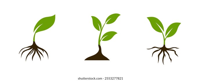 A clean vector icon featuring a green leaf and branching roots, representing natural health, sustainability, and eco conscious agriculture, perfect for stickers and bio products.