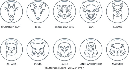 Clean vector icons representing diverse South American fauna. Ideal for educational materials travel brochures or nature-themed marketing campaigns.
