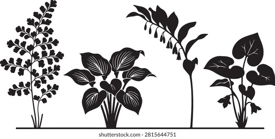 A clean vector illustration showcasing four distinct leafy plants with detailed black and white botanical designs, ideal for nature or educational projects.