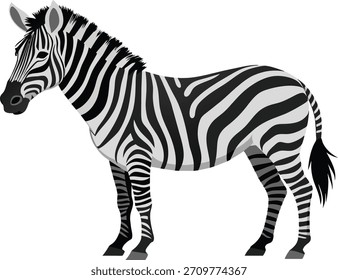 Ilustração limpa e vetorial de uma zebra, excelente para materiais educativos, designs de padrões ou conteúdo infantil.
