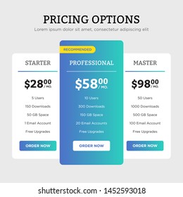 Clean vector pricing options design. Web page illustration