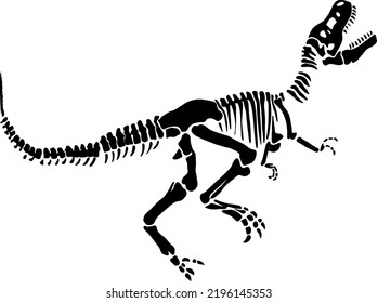 Clean Vector Tyrannosaurus Rex Fossil Skeleton