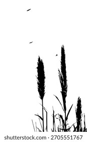 Una silueta limpia al estilo del Vector de hierba alta y pájaros voladores contra un cielo blanco, ideal para fondos, carteles, arte de la pared, diseños de la naturaleza, diseños decorativos y proyectos gráficos creativos.
