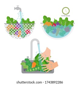 Clean vegetables and for cooking. Vegetables in water in bowl. Healthy food. Vector illustration.