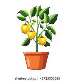 A clean and vibrant illustration of a yellow bell pepper plant growing in a pot, featuring fresh ripe capsicum fruits and healthy green leaves. This artwork represents gardening, organic farming, home-grown vegetables, and healthy food concepts. Ideal for agriculture projects, educational materials, gardening blogs, food packaging, infographics, posters, and digital or print designs. Isolated on a white background for flexible commercial use.