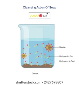   Reinigungswirkung von Seife. Struktur von Seifenwassermolekül, Micelle, Chemie Vektor-Illustration.