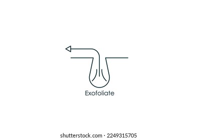 Cleansing Clogged Deep Pore exfoliate icon vector illustration 