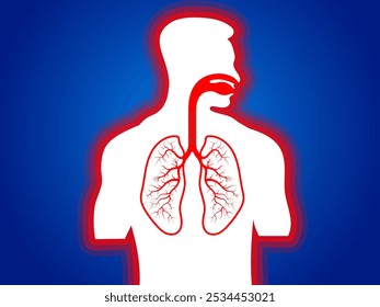 Vetor das vias respiratórias claras nos pulmões humanos