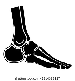 A clear black and white illustration showcasing the bones of the human ankle and foot, highlighting skeletal structure and anatomy.