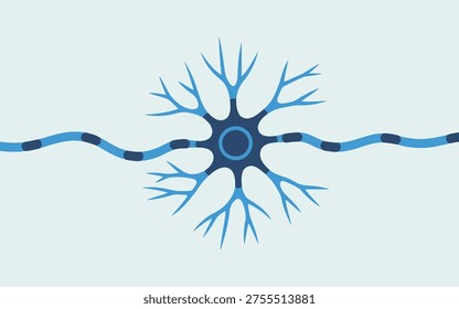 A clear depiction of a neuron, featuring its cell body, dendrites, and an axon with a distinct wavy, myelinated appearance.