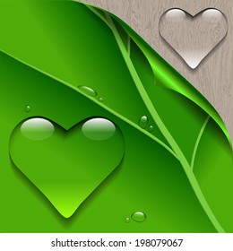 Clear drop icon in the shape of heart, EPS 10