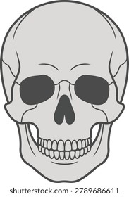 A clear, front-facing illustration of a human skull showing teeth and eye sockets