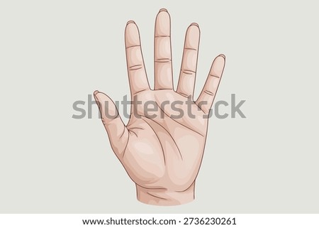 A clear illustration of a human hand, palm open, showing five fingers and detailed skin texture.