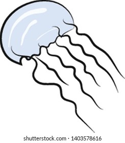 A clear jelly fish swimming in deep water with its tentacles, vector, color drawing or illustration.