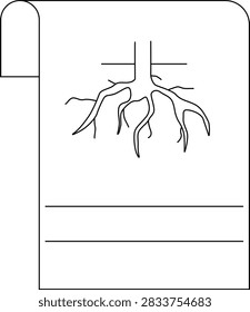A clear line drawing of a plants root system, showing the main taproot and branching lateral roots extending outwards.