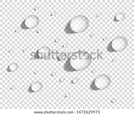 Clear round water drops on smooth surface, realistic vector illustration.