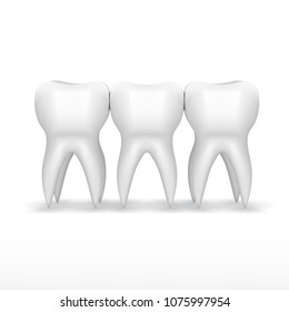 Clear Three White Teeth With Shadow. EPS10 Vector