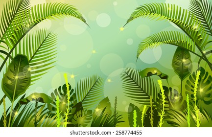 clearing in the jungle