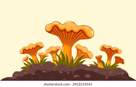 A clearing of light orange chanterelle mushrooms in a deciduous or coniferous forest. Common or real chanterelle. Close-up. Vector. Spring-autumn season.