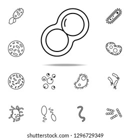 cleavage of bacteria icon. Bacteria icons universal set for web and mobile svg