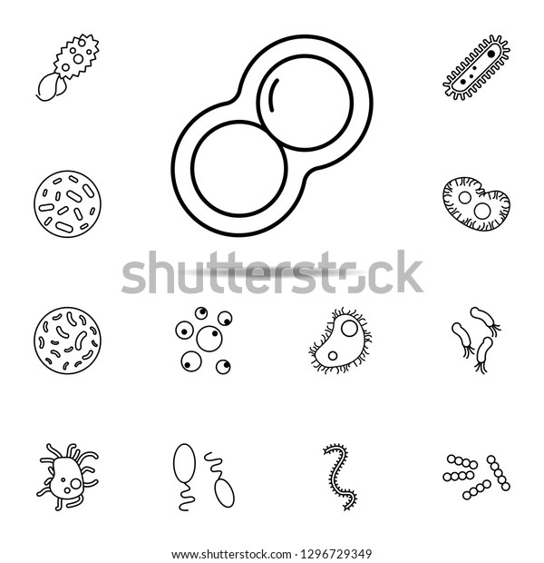 cleavage of bacteria icon. Bacteria icons\
universal set for web and\
mobile
