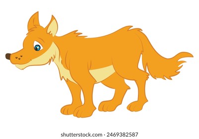 Cleaver fox isolated on white background